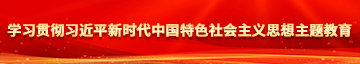 操少女的逼，吸她奶头学习贯彻习近平新时代中国特色社会主义思想主题教育